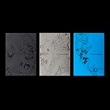 ENHYPEN [THE SIN : VANISH] （韓国盤【正規輸入盤】