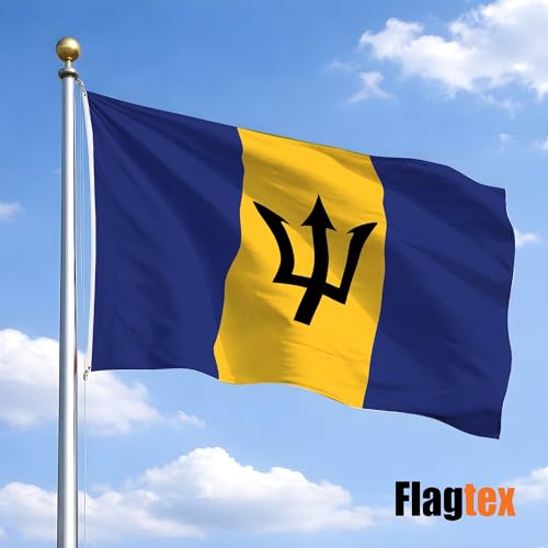 Bandera de Barbados Flagtex grande para mástil exterior 2