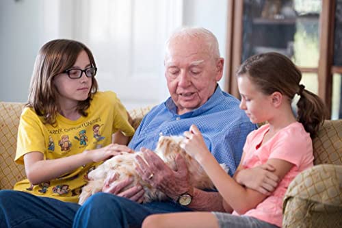 JOY FOR ALL Companion Pet for Seniors - Lifelike Animatronic Cat - Realistic Soft-Touch Fur & Purring - Therapy Stuffed Animal - Toy for Alzheimer's & Dementia - Orange Tabby - Thumbnail 7