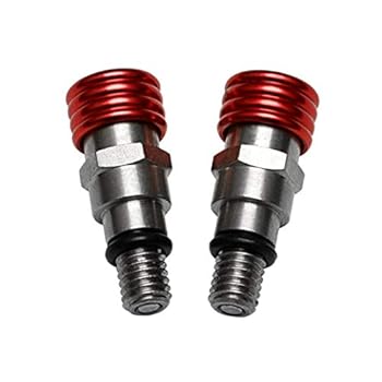 America At The Millennium The Best Poems and Poets of the 20th Century