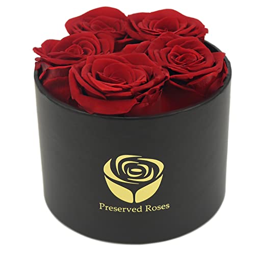 Yamonic 5 Rosas Reales Que durarán de 2 a 3 años, Regalos de Caja de Rosas para Ella, Idea cumpleaños, Regalos de San Valentín para Ella - Rosa roja, Caja Negra