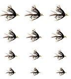 12 Bead Head Soft Hackle Pheasant Tail Mayfly Nymph Flies / Wet Flies for Trout Fly Fishing Flies Lu