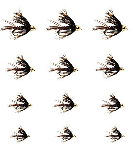 Outdoor Planet 12 Guide's Choice Hare's Ear/BH Soft Hackle Fasan Tail/Kippflügel Dun/Kingrey's Better Foam Caddis/Nymmph Fliegen/Trockenfliegen für Forellenfliegenfliegenfischen, Fliegen Sortiment Cover
