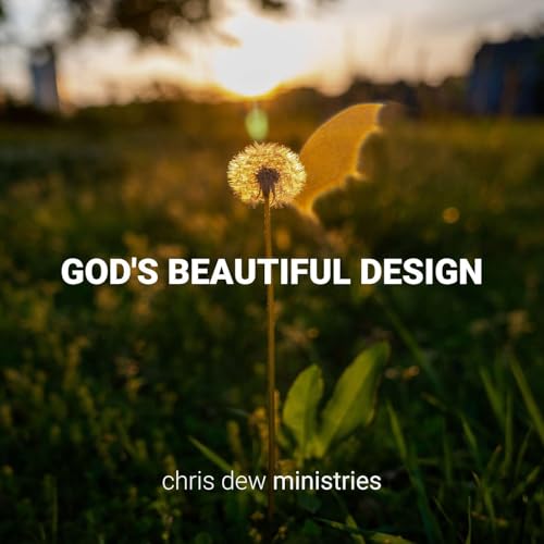 God's Beautiful Design