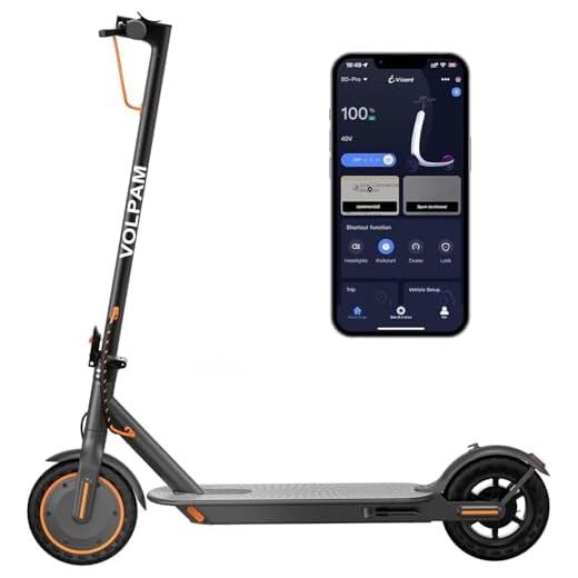 Highly Efficient 350W Electric Scooter