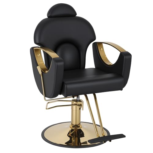 FDW Professional Salon Chair