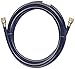 Trident Marine 1014-3838-120 L.P. Gas Supply Line Hose, 10