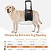 LOOBANI Portable Dog Sling for Back Legs, Hip Support Harness to Help Lift Rear for Canine Aid Old K9 Cruciate Ligament Rehabilitation