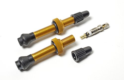 55 Mm Gold - Fr14 #TOP6