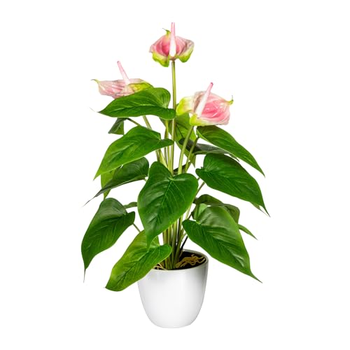 Fuchs seit 1895 Künstliche Anthurie im weißen Kunststofftopf 40 cm in versch. Farben, Farbe:rosa