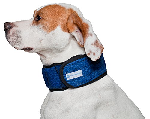 Aqua Coolkeeper Pacific Hundehalsband mit Frischefunktion, blau