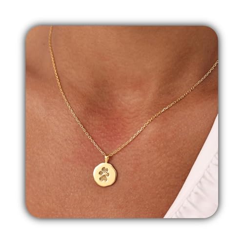Bijou empreinte patte argent anti ternissement pendentif durable souvenir chien chat