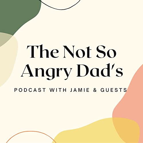 Couverture de The Not So Angry Dad's