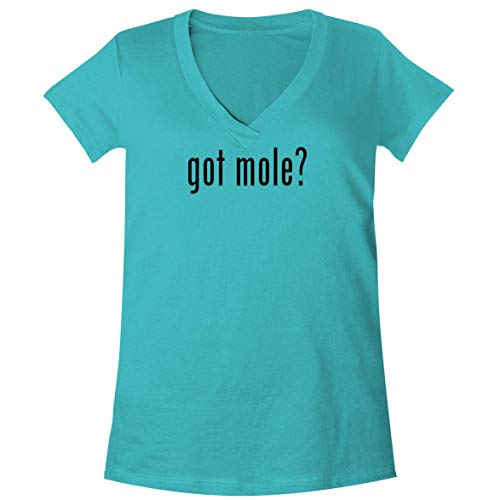 Best Mole Eliminators