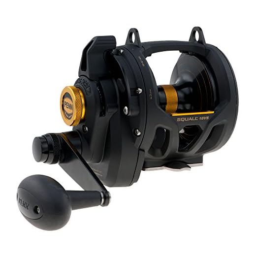 PENN 16VS Squall Lever Drag 2 Speed Reel, Graphite, Multicolor, 725/20, IGFA16, Big Game Saltwater Fishing