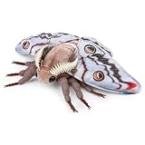 Emperor Moth Plush