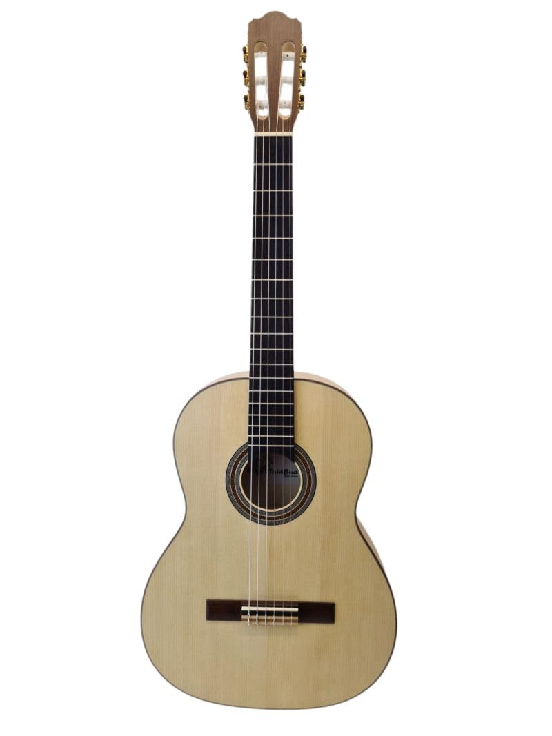Konzertgitarre Vollmassiv 4/4 Pro Natura GS100 Fichte Ahorn Fishman Pre-Amp Tuner, Akustik E-Gitarre mit Gigbag & Gurt, Mensur 650 mm, warmer Klang, seidenmatt, hochwertige Verarbeitung