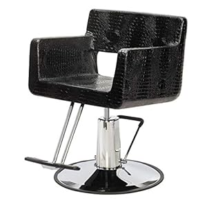 Buy-Rite Salon & Spa Equipment Rosa Styling Chair for Professional Salons & Barbers, Heavy-Duty Chrome Base, High-Density Foam Seat, Hydraulic Pump, Crocodile Black, YLG-308-CROC
