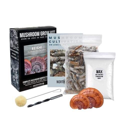 north spore reishi - kit di tronchi per funghi fai da te, facile e divertente, include 100 tappi a funghi per tronchi, prodotto negli stati uniti, funghi per tè e tinture, funghi medicinali