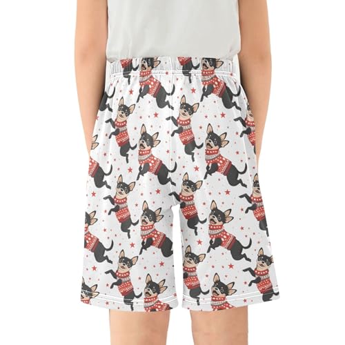 ALAZA Christmas Dog Star Pajama Shorts Sleep Shorts Pant Lounge Pajama Bottoms Elastic Waist with Pockets2