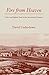 Fire from Heaven: Life in an English Town in the Seventeenth Century