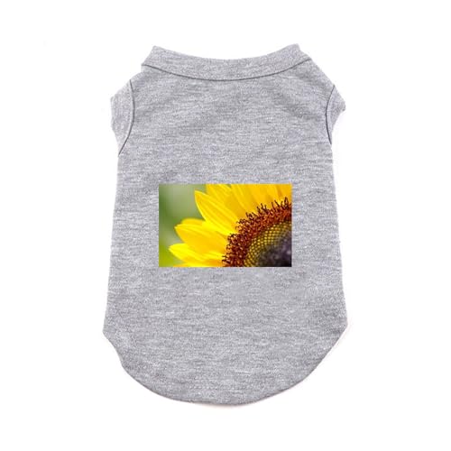 [XANPYO] ybg  tďH tVc XS ^ lGʗp ybg  hbOEFA xXg t@bV lC Ȃ Ȑ Lm ʋC ₩ Ăh Eѕی U o O[ ƒ