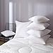 4 Pack - 20 x 20 Premium Hypoallergenic Stuffer Pillow Insert Sham Square Form Polyester, Standard / White (20 x 20)