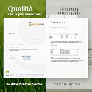 Collagene in Polvere 500g - 15g per Porzione, Collagene Idrolizzato Puro e Neutro - 33 Porzioni - Collagen Bovino, Peptidi di Collagen - Prodotto in Germania