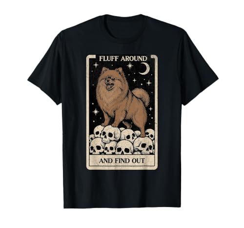 Fluff Around and Find Out - Ironic Pomeranian Tarot Meme T-Shirt, Men, Black, 3X-Large