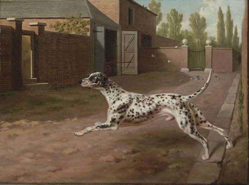 Pintura de dalmata en el patio arte de lienzo para decorar paredes de despachos