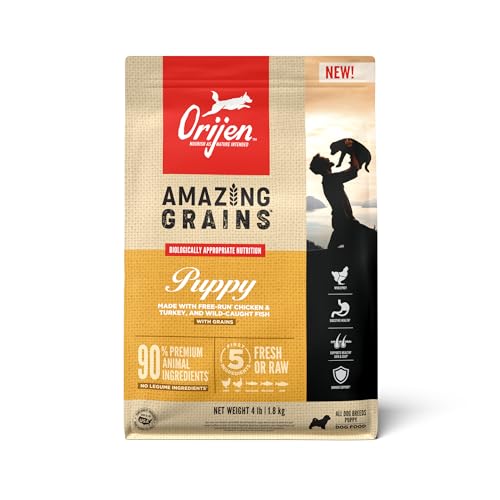 ORIJEN Amazing Grains High Protein Dry Dog Food Puppy Recipe 4lb ...