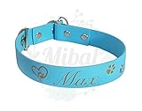 Personalisiertes Biothane Halsband mit Zugstopp