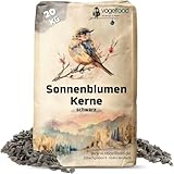 vogelfood wir sind gut zu Vögeln