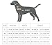 BPS® Hundegeschirr, verstellbar, 4 Größen zur Auswahl für kleine und mittelgroße Hunde