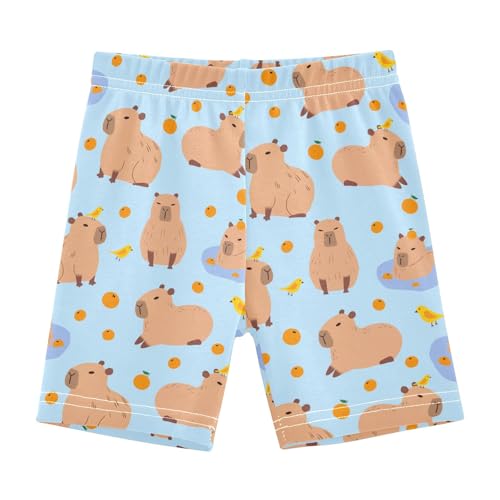 Cute Capybara with Birds Blue Girls Shorts Elastic Waist Sports Shorts Girls Leggings Pants for 4-10 Years