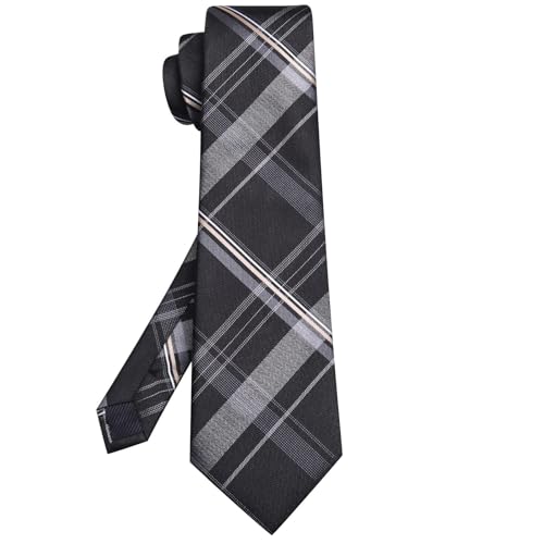 Image of Hi-Tie 63 inches Striped Paisley Extra Long Ties for Men Silk Necktie with Lapel Pin Tie Clip Big and Tall Men Formal Wedding