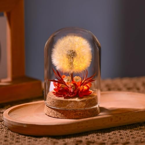 Flor seca de diente de león con luz nocturna