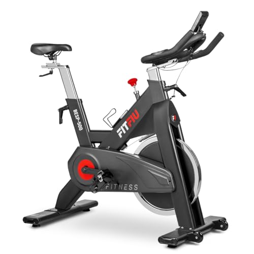 FITFIU Fitness BESP-500 - Bicicleta...