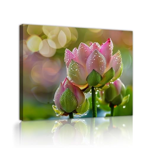 Art mural botanique de lotus de haute qualité avec cadre 40x50