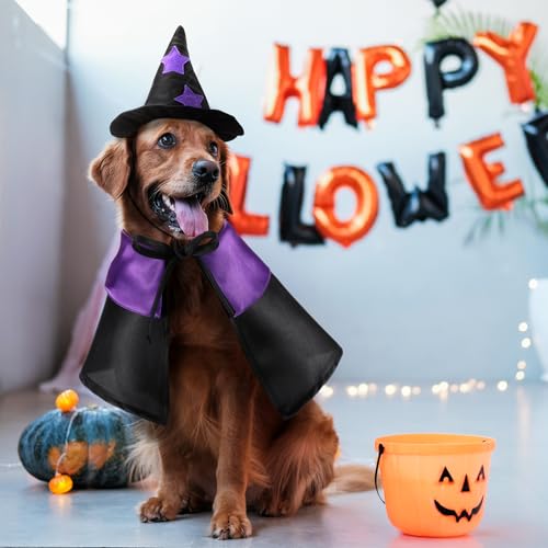 2 sets disfraz Halloween mascota gato perro miniatura 5