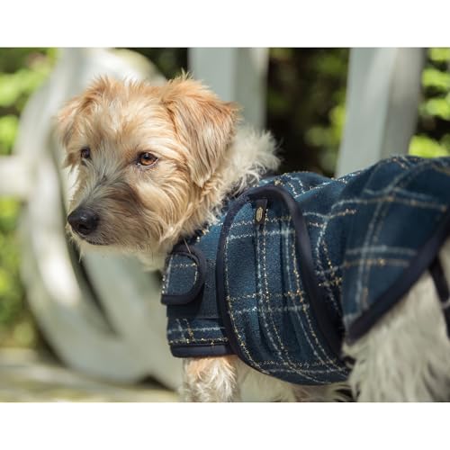 Eskadron - Hundemantel Boucle - Heritage 2025
