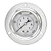 PIC Gauges PRO-204L-254E Panel Mount Front Flanged Glycerin Filled Industrial Pressure Gauge w/ SS Case, Brass Internals, Plastic Lens, 2.5