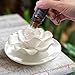 Passive Diffuser for Essential Oil-Ceramic Diffuser Non Electric Oil Diffusers for Small Mini Room, Desk Decorative, Bathroom (Impatiens)