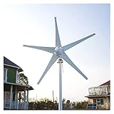 DFJU Windturbinen-Kit Windturbinen-Stromgenerator 800 W 6 Blätter 12 V / 24 V Optional Verwendet für Land-Marine-Haushaltswindkraftanlage