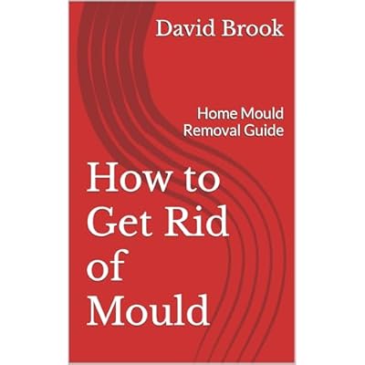 How to Get Rid of Mould