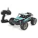 NAMFZX 1/12 Alliage RC Car 2.4G 2WD Véhicule Tout-Terrain Tout-Terrain Escalade à Grande Vitesse Télécommande Bigfoot Truck Jouets électriques Véhicule avec Deux Batteries Rechargeables (Jaune, Vert)