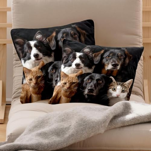 Housse de coussin velours 50x50 de qualité supérieure lot de 2
