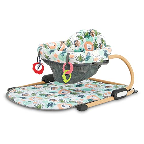 Image of Dream On Me Snug N' Play Floor Seat/Removable Insert Cover/Top Notch Safety Features/Padded Seat/Bright Prints/Waterproof Fabric/Folds Flat/Easy to Store & Transport, Lion Head