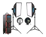 Kit Iluminación profesional con 2 flashes FTF-400 DXII
