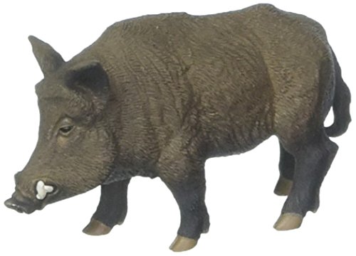 Safari- Jabalí Animales, Multicolor (S224229) Cover